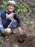 Alvin's tree seedling