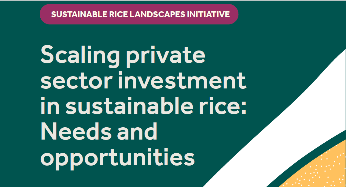 Scaling private sector investment in sustainable rice: Needs and opportunities